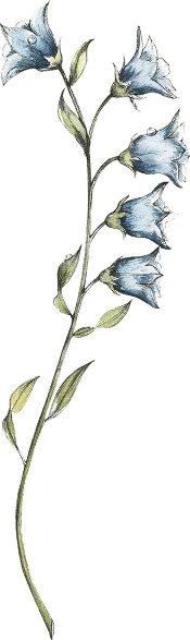 Bottom Section Flowers