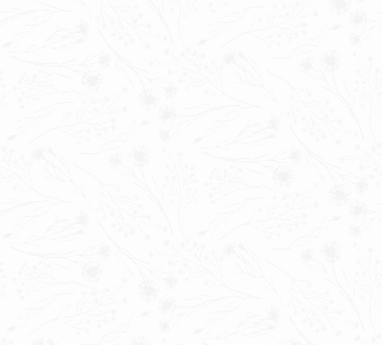 Main Hero Background Graphic 2