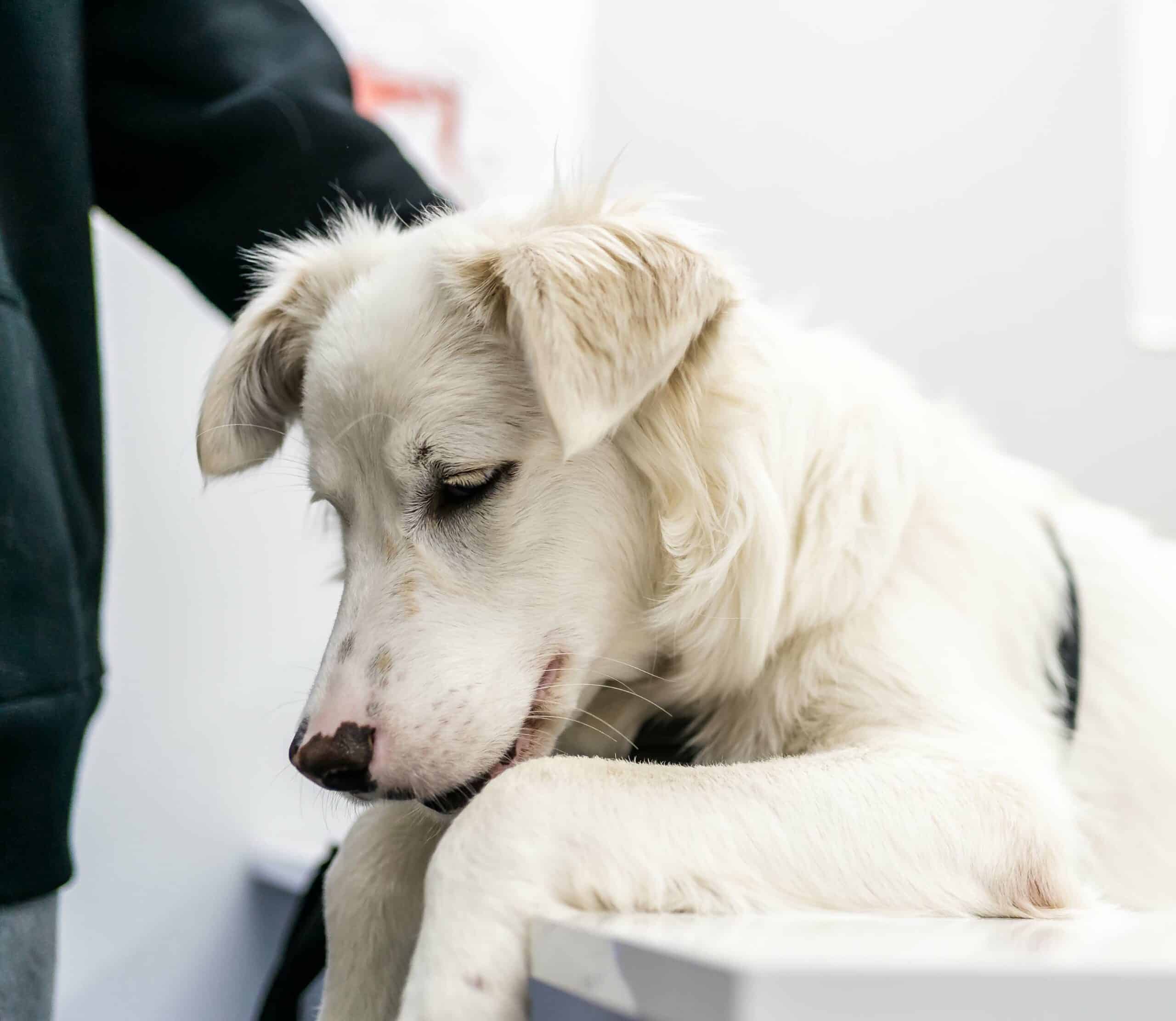 Treatment Plans That Fit Your Family